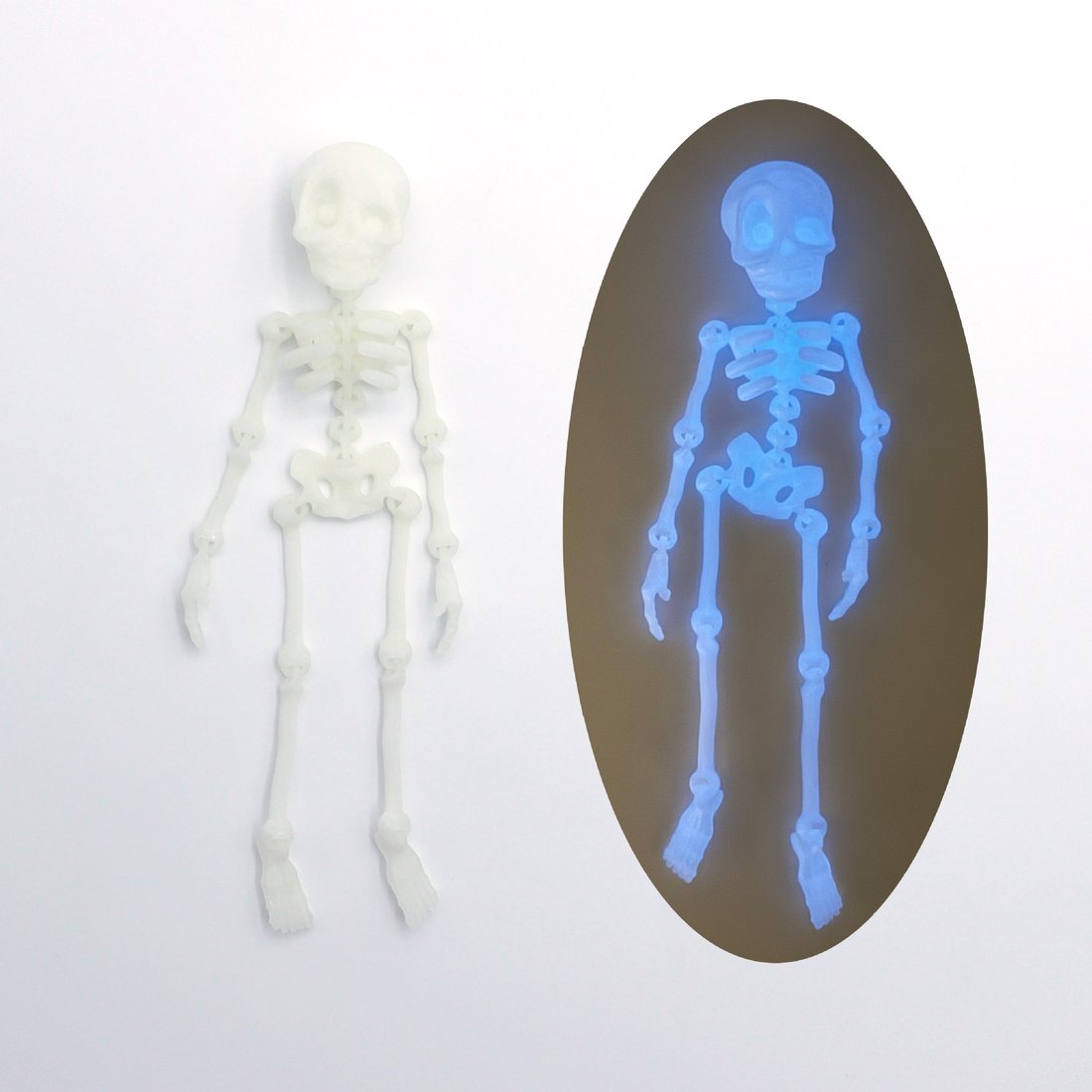 π3D Printed Poseable Skeleton Fridge Magnet