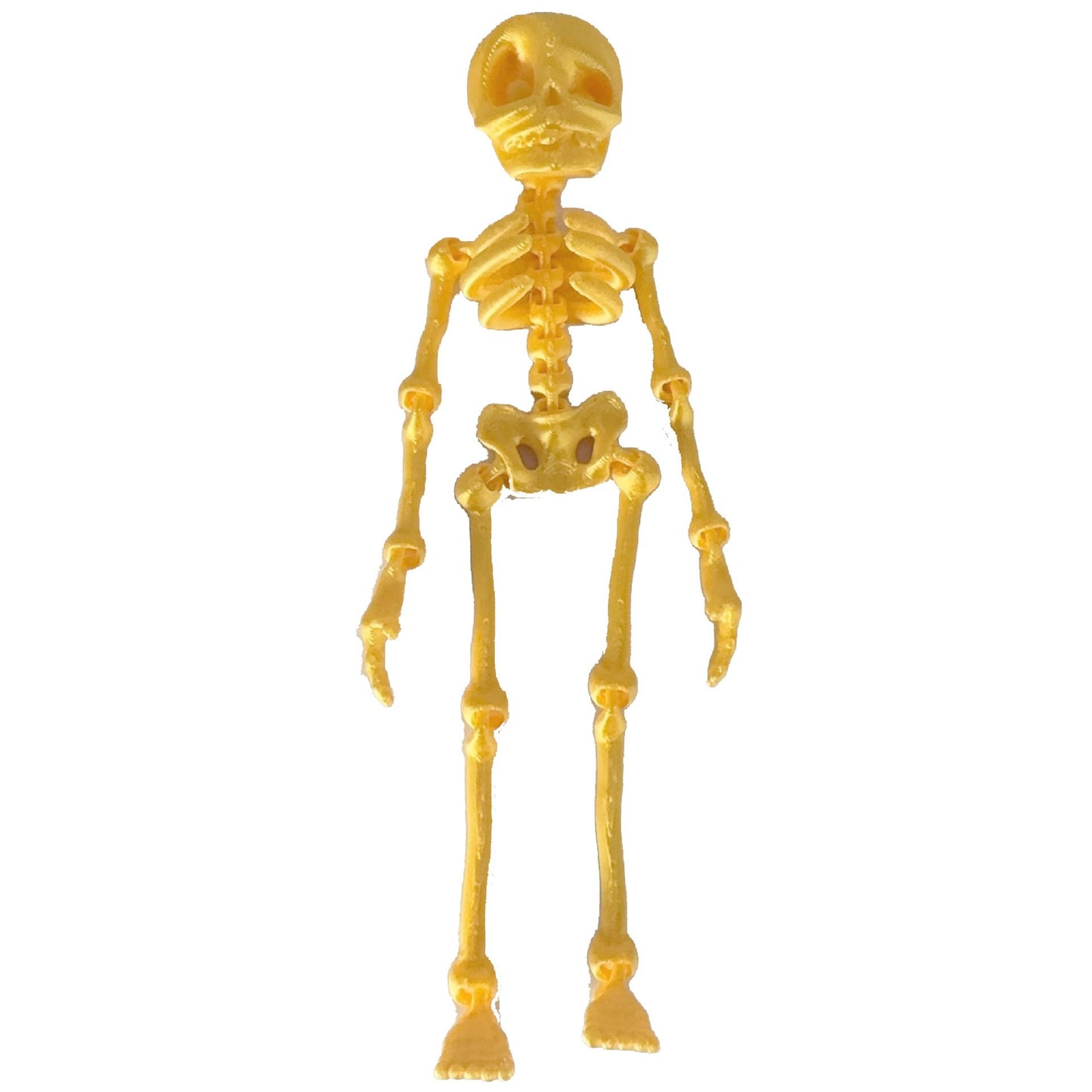 π3D Printed Poseable Skeleton Fridge Magnet