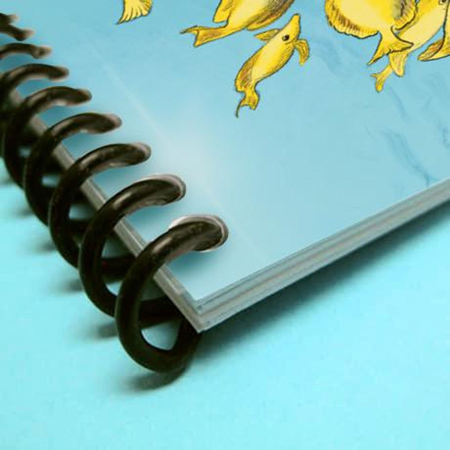 2026 Calendar- Love Notes From Nature