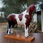 🐂🥃Nelore bull liquor dispensers